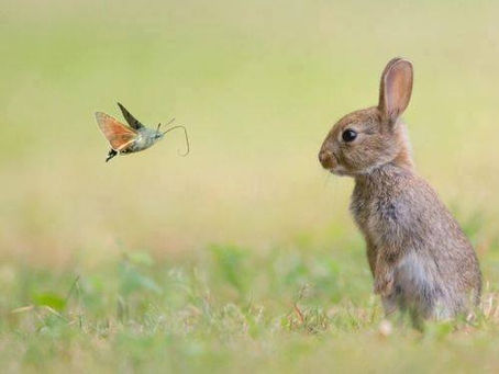 Tuning In To Wisdom
