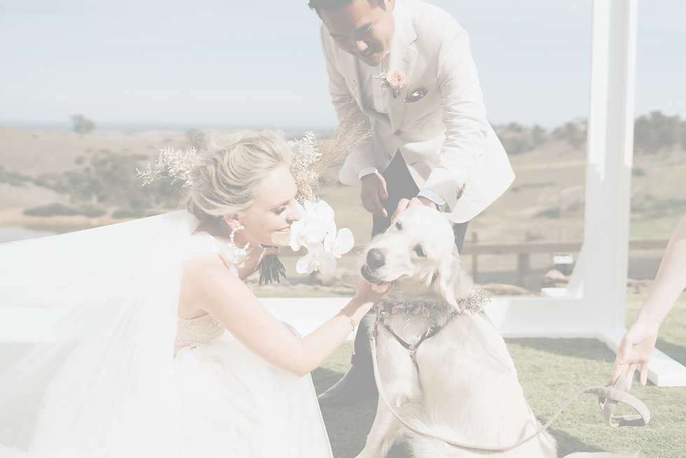 idopaws_weddingvault-4_edited.png