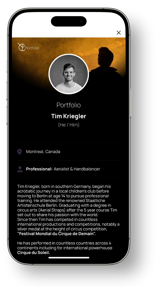 portfolio tim Kriegler