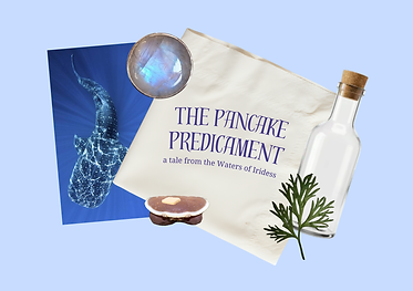pancakecollageupdate.png