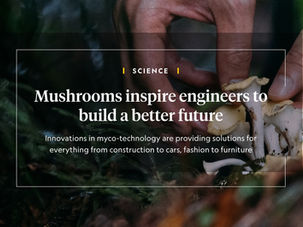 National Geographic | Mushrooms inspire engineers to build a better future