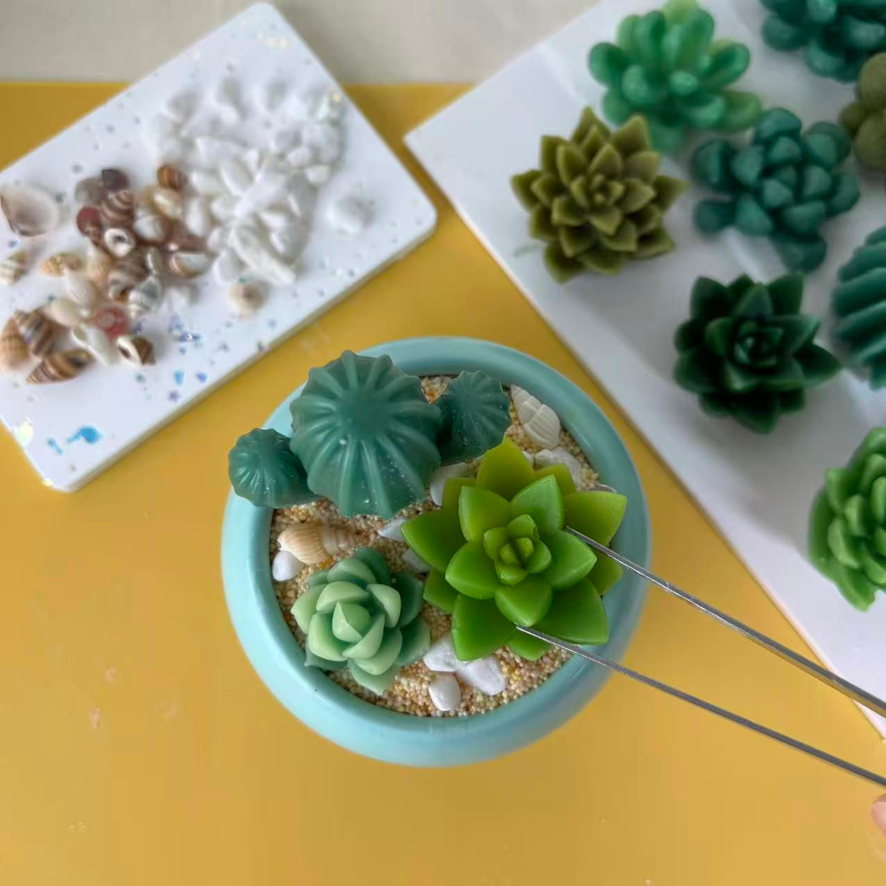 多肉植物香氛蠟燭工作坊