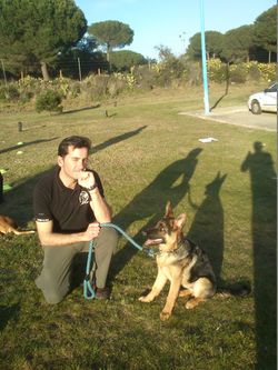 athoscaneducacioncanina (78)