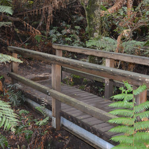 pathways