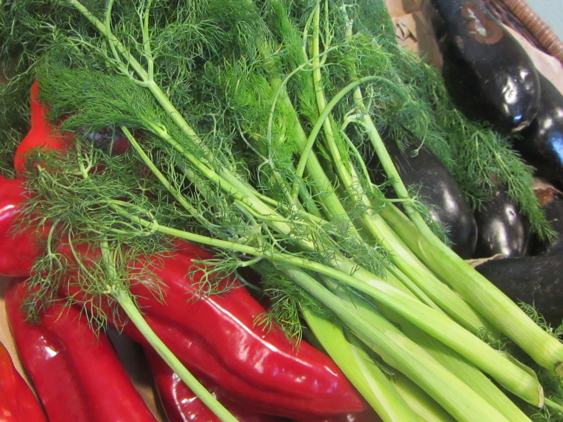 Fennel fronds