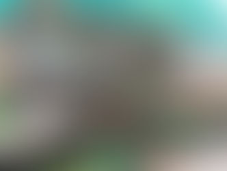 Our shop vision and mission