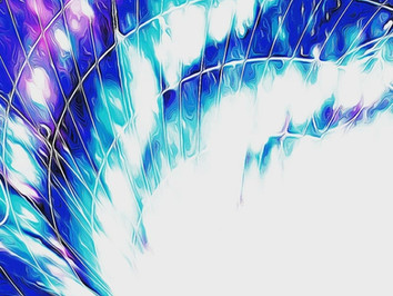 Enter the Vortex..
