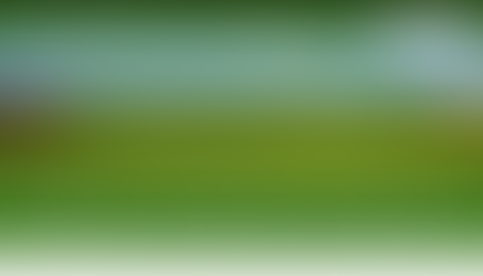 Image of home webpage for Indiana Department of Environmental Management