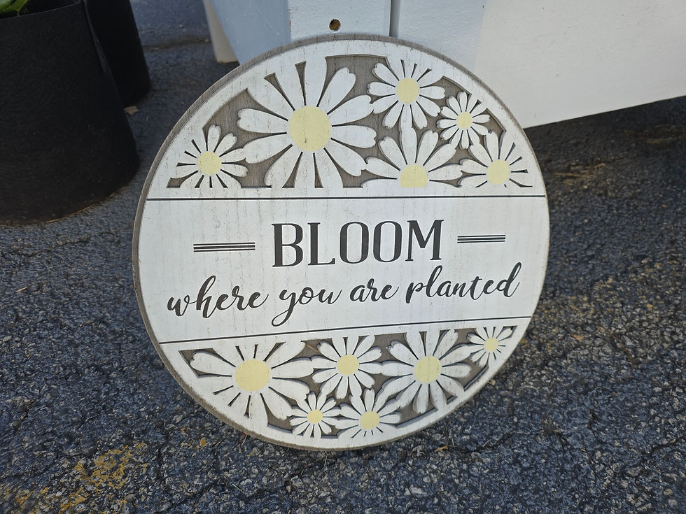 Part I of V: A Beginner’s Guide for Small Urban Farmers