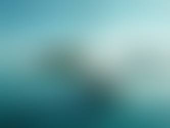 Testemunhos de Clientes: Aventuras Náuticas em FamÃlia