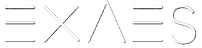 EXAES_White_PNG.png