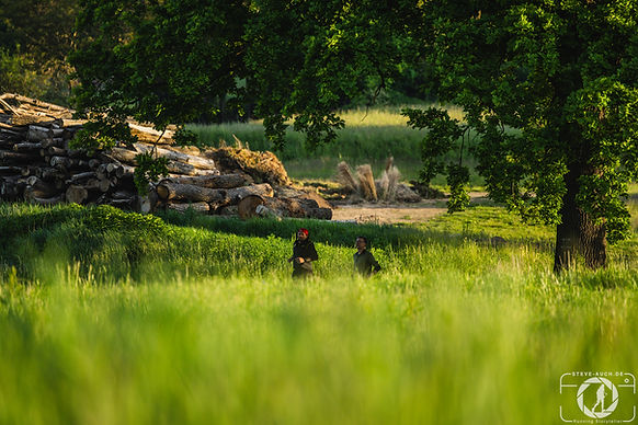 ABYU Loosdorf Trail 2025(c)Steve-Auch-1MG_3968.jpg