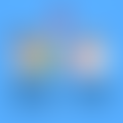 La química del amor, Amor romántico Vs amor compañero