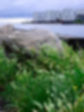 2025_06_16_Hotel_Frihavnen_05.jpg