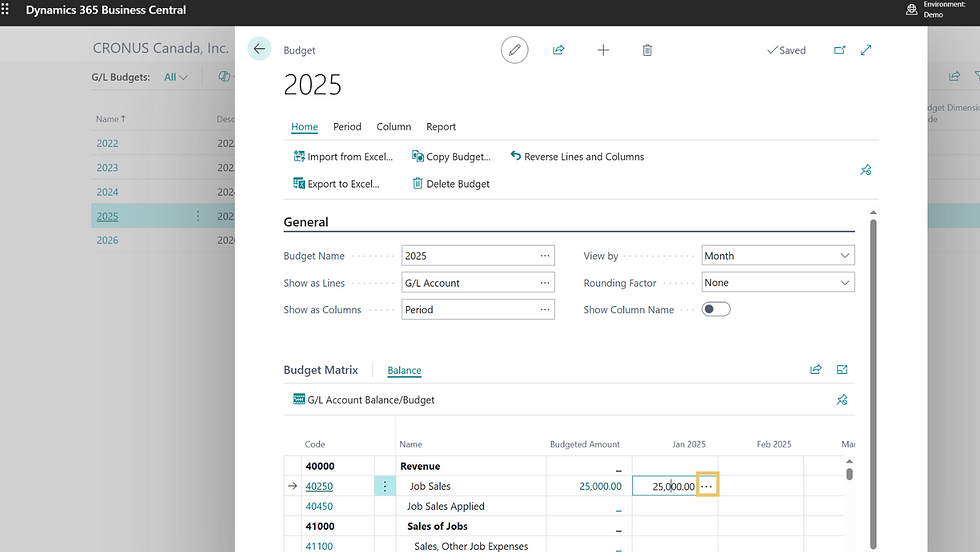 Budget interface in Dynamics 365 displays "2025" data. Options include Import/Export Excel.