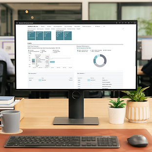 Insight - Dynamics 365 Business Central For Your Non-Profit