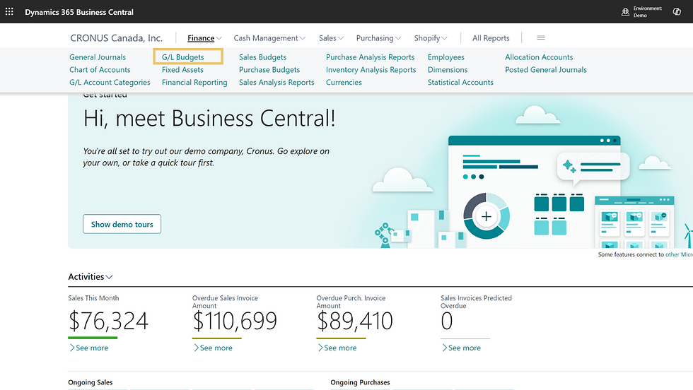 Interface of Dynamics 365 Business Central showing financial dashboards and activity summaries.