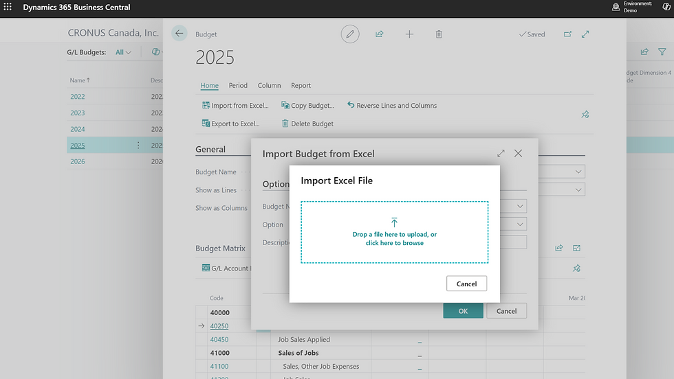 Software interface of Dynamics 365 Business Central showing "Import Budget from Excel" pop-up, with text box and action buttons OK and Cancel.