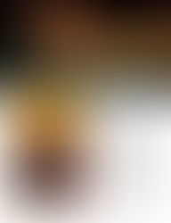 Are We There Yet? Magic Christmas in Lights, Bellingrath Gardens and Home