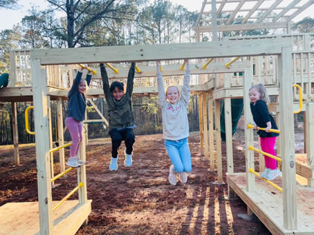 Freedom Farm – A Beacon of Hope in Coker
