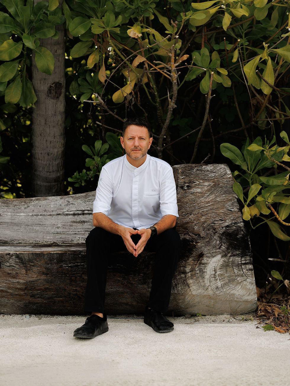 Man in a white shirt and black pants sits on a large log, hands clasped, in front of lush green foliage on a sandy ground. Calm mood.