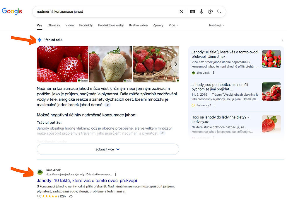 printscreen z vyhledávače Google s vygenerovanou odpovědí od AI
