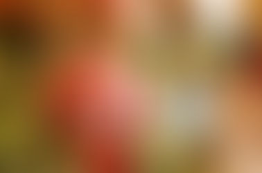 December: The Update Thing