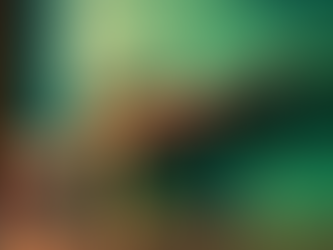 Top Airsoft Sales and Custom Work in Chicago