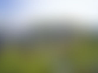 Modern houses with blue roofs line a lush green street, bordered by trees. A serene lake and blue sky form the backdrop, creating a tranquil scene.