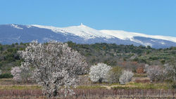 Mont Ventoux vinter