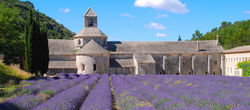 Abbaye-notre-dame-de-Senanque