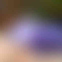 Purple Agate Coaster Set