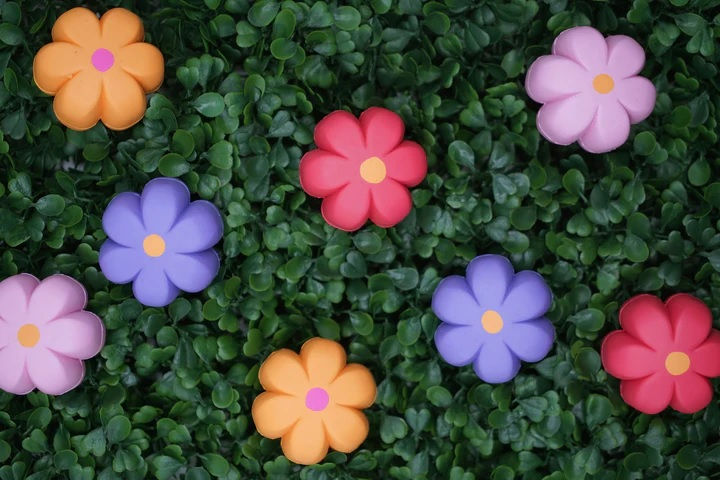Miniatura: Frenos Moxi Brake Petals
