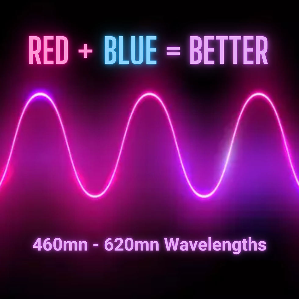 Thumbnail: Wanderous LED Skincare Wand