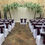 Thumbnail: Wisteria Canopy Trees