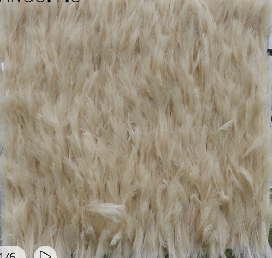 Thumbnail: NEW Pampas Wall