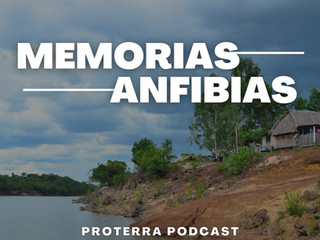 ESCUCHA MEMORIAS ANFIBIAS