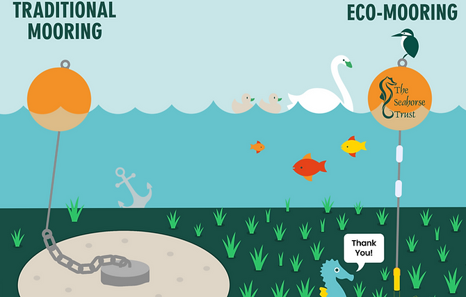 Eco-mooring-illustration