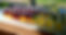 skugga estate vineyard wedding party drinks.jpg