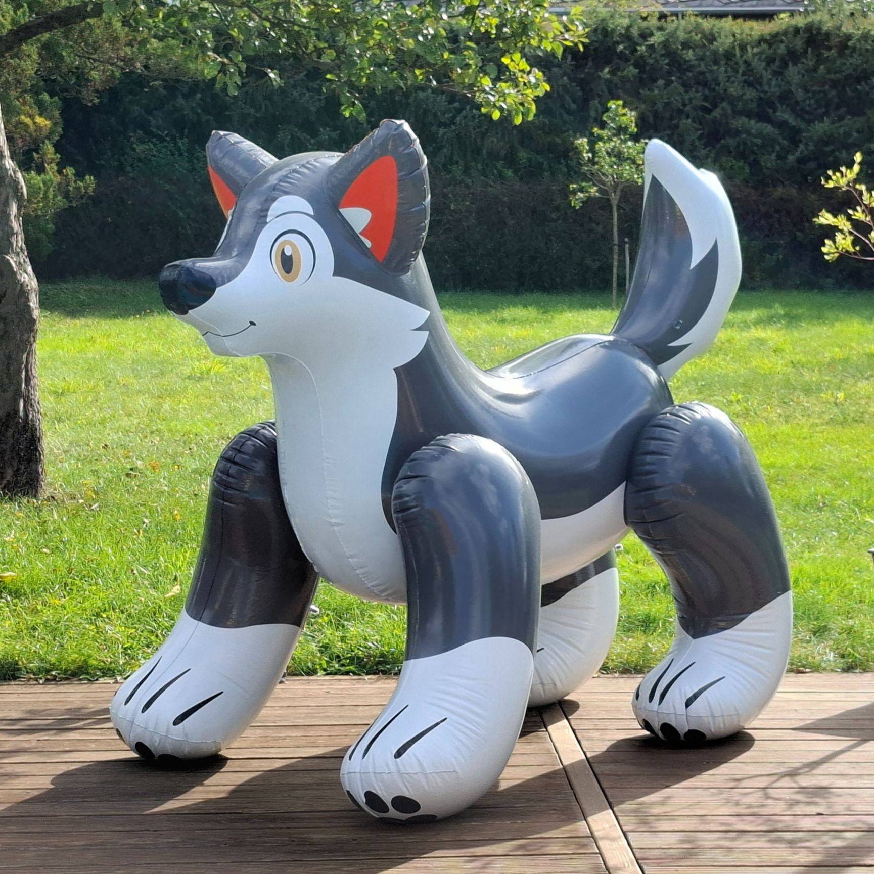 Wolfdog glänzend