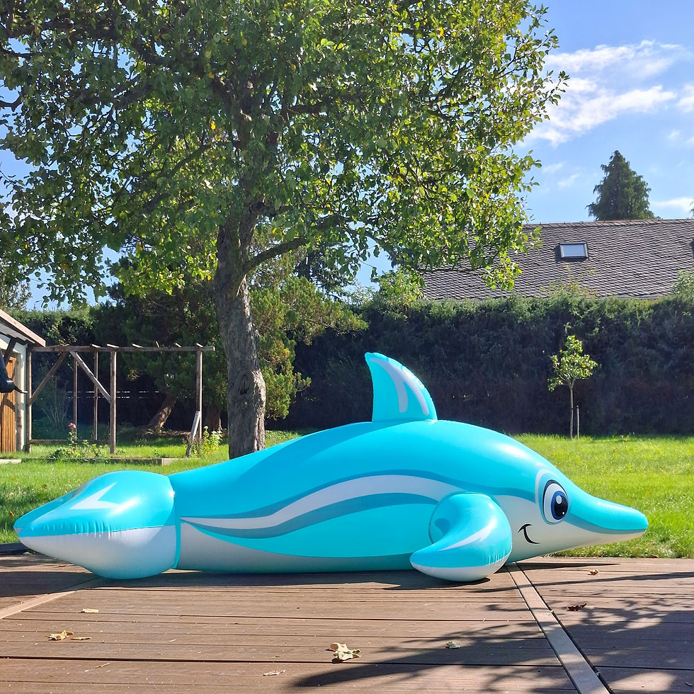 Miniaturbild: Delfin glänzend