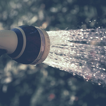 Hand Sprinkler