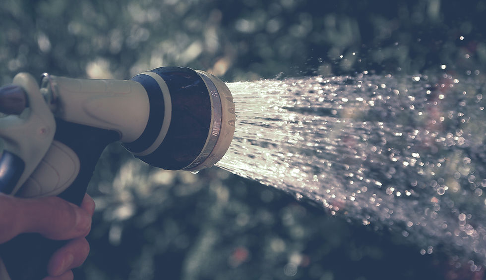 Watering with Hose