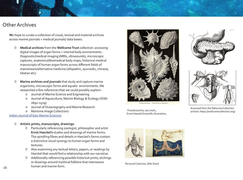 Boundaries Proposal_Bodies at Sea_Sundar+Rao-18-1.jpg