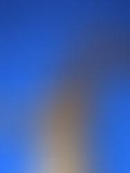 Rossprojekt i Falkenberg får klartecken i Mark och Miljööverdomstolen