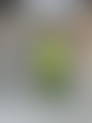 Ross Arkitektur & design erbjuder 3D-printade hus i betong