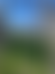 Pål är inte bara en konstnär - han är även en fantastisk arkitekt!