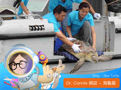 What Can I Do as a Scientist and Citizen in Marine Conservation?