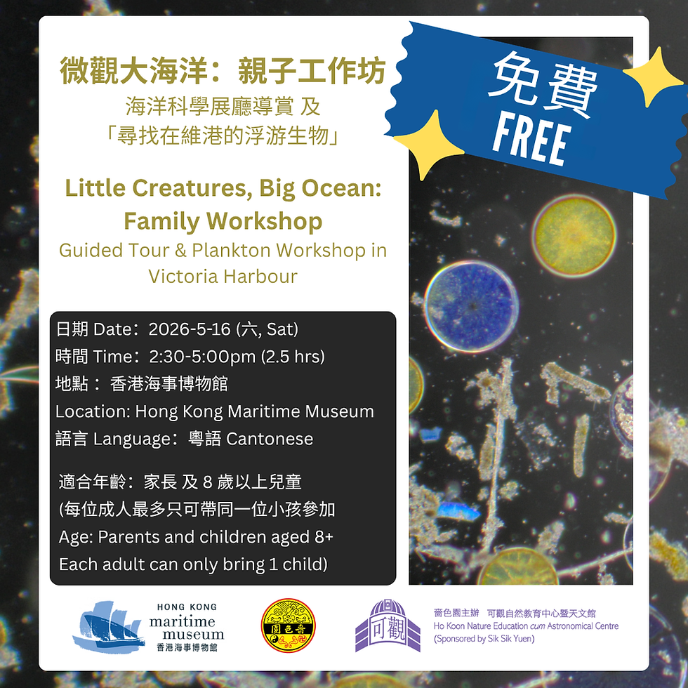 Little Creatures, Big Ocean: Family Workshop