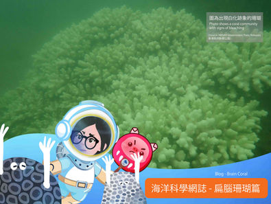 Corals Can Fight, but They Need Us to Battle Against Climate Change